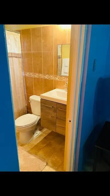 Blissett Apt, Your Jamaican Home كينغستون جامايكا