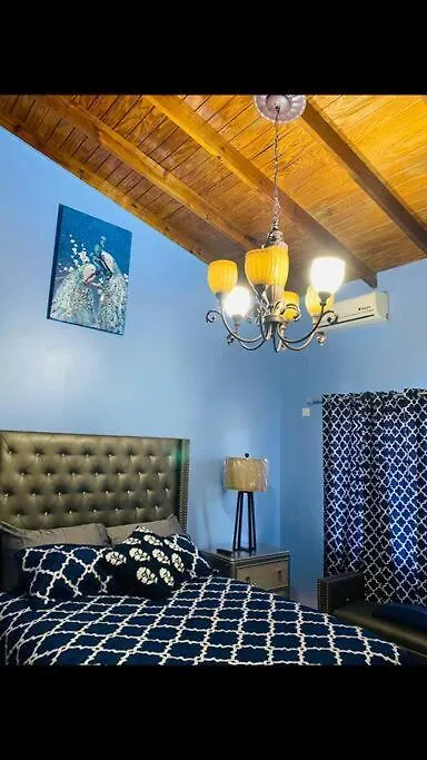 Blissett Apt, Your Jamaican Home كينغستون 0*,