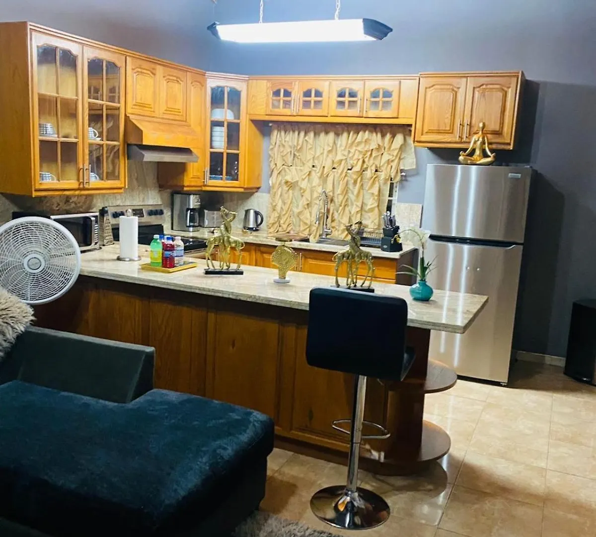 شقة Blissett Apt, Your Jamaican Home كينغستون جامايكا